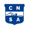 banderín del club